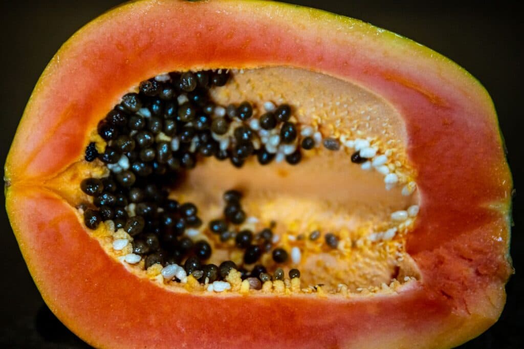 Mamão maduro cortado ao meio, com polpa laranja e sementes pretas